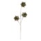 Northlight 28" Champagne Gold and Green Artificial Floral Christmas Spray